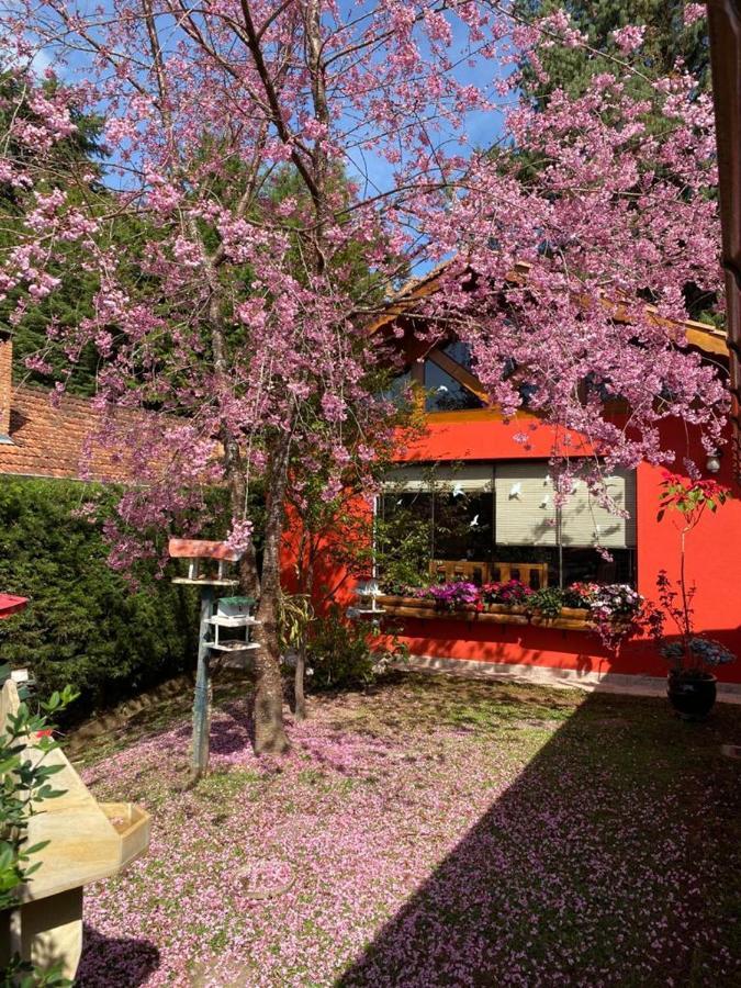 Aconchegante Casa Em Monte Verde Monte Verde  Exterior foto